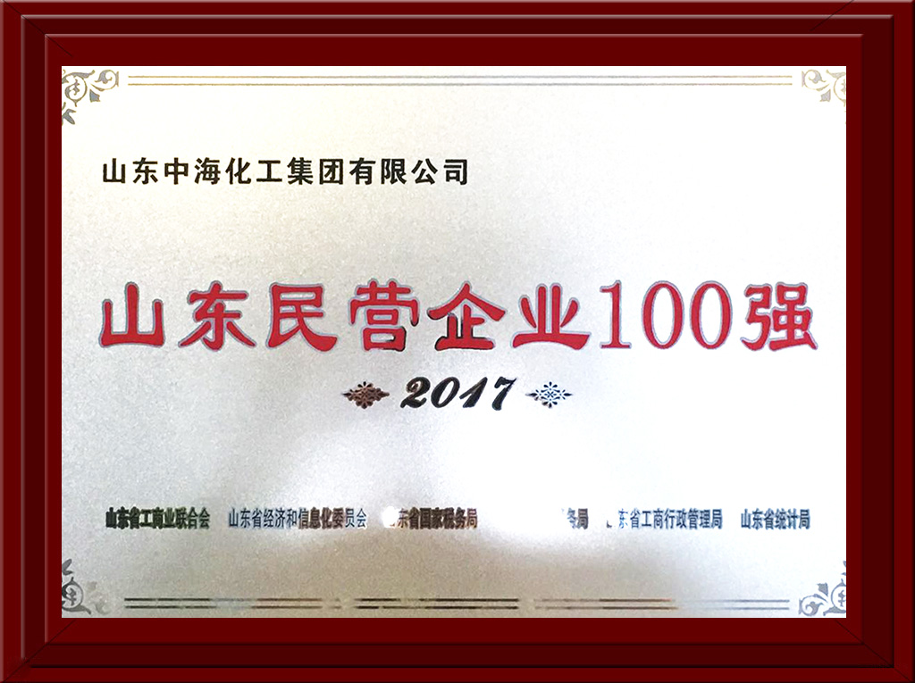 2017年民營企業100強