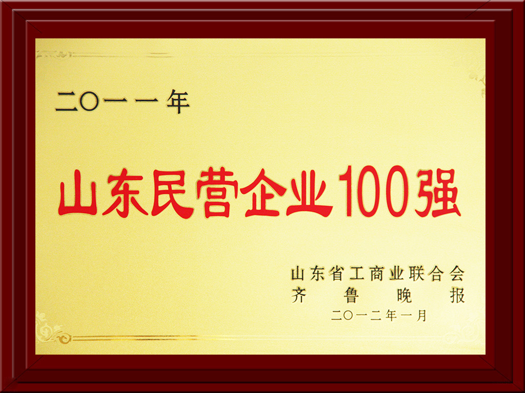 2012.01山東民營企業100強
