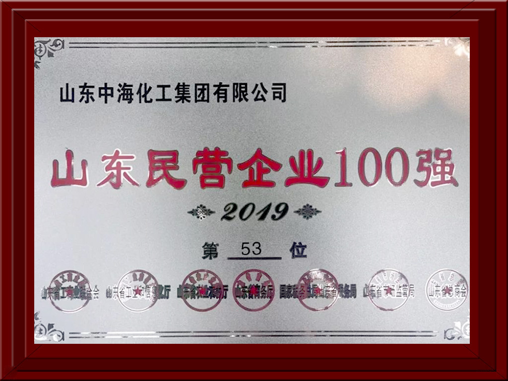2019山東民營企業100強